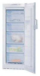 Bosch GSN24V21