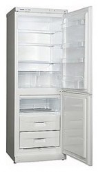 Snaige RF310-1103A