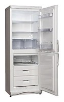 Snaige RF300-1101A