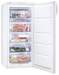 Zanussi ZFU 319 EW