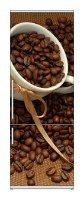 Snaige RF36SM-S10021 36-27