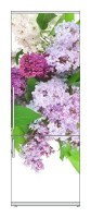Snaige RF36SM-S10021 36-11