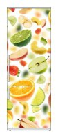 Snaige RF36SM-S10021 36-25