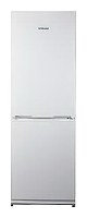 Snaige RF31SM-S10021