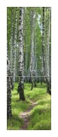 Snaige RF34SM-S10021 34-15
