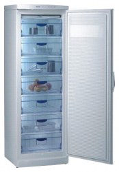 Gorenje F 6313