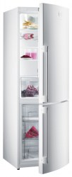 Gorenje RK 65 SYW-F1