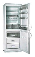 Snaige RF310-1713A