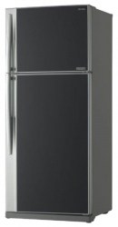 Toshiba GR-RG70UD-L (GU)