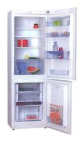 Hansa BK310BSW