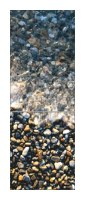 Snaige RF34SM-S10021 34-23