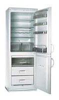 Snaige RF310-1663A