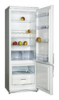 Snaige RF315-1T03А