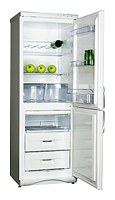 Snaige RF310-1T03A