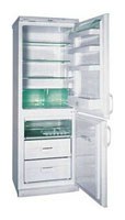 Snaige RF310-1661A