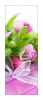 Snaige RF36SM-S10021 36-5