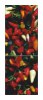 Snaige RF36SM-S10021 36-26
