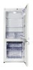 Snaige RF27SM-P10022
