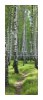 Snaige RF34SM-S10021 34-15