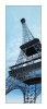Snaige RF34SM-S10021 34-3