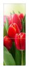 Snaige RF34SM-S10021 34-6
