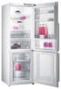 Gorenje NRK 68 SYW