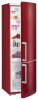 Gorenje RK 62395 DR
