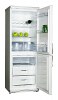 Snaige RF310-1T03A